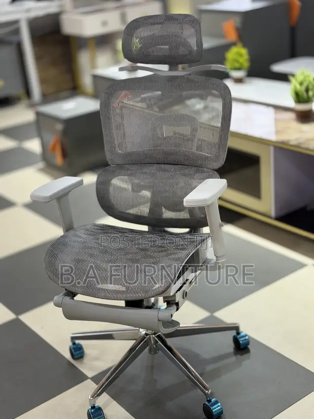 Orthopedic Net Chair with Recliner - 1