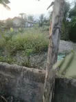 Ashalaja Titled Land with Dwarf Wall for Sale - 4