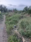 Ashalaja Titled Land with Dwarf Wall for Sale - 5