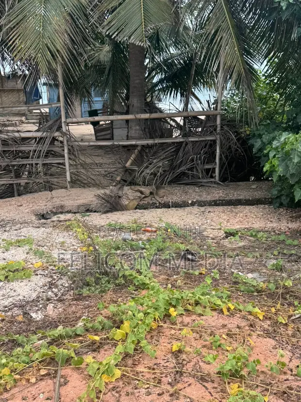 Kokrobite Seafront Land with Structures for Sale - 1