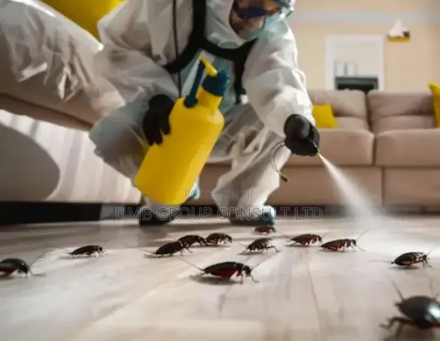 Fumigation & Pest Control Services - 1