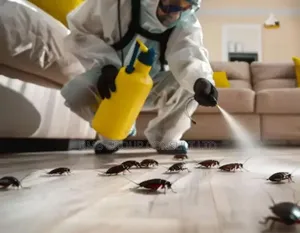 Fumigation & Pest Control Services