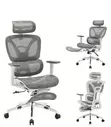 CEO Executive Office Chair - Brand New - 1