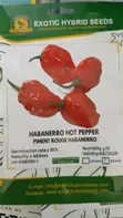Assorted Vegetable Seeds for Planting - 3