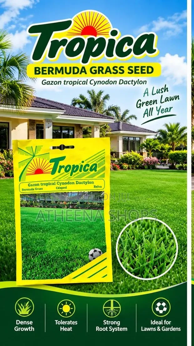 Carpet Grass Seeds (Bermuda) - 1
