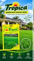 Carpet Grass Seeds (Bermuda) - 1