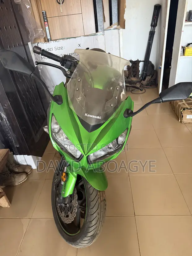 Kawasaki Ninja 1000 2016 Green - 1