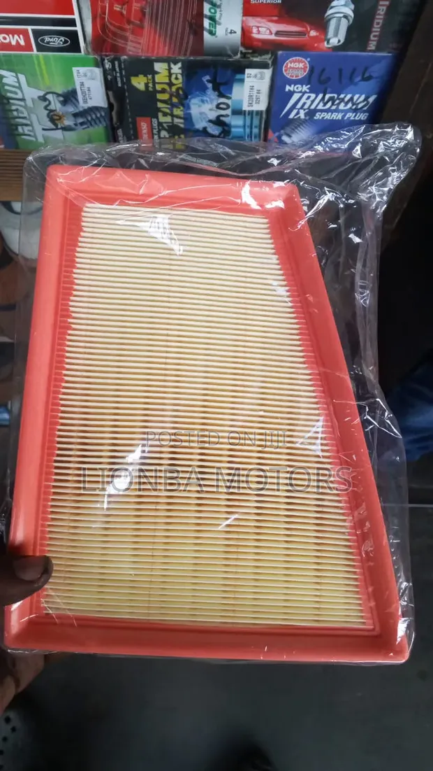 Nissan Sentra B16 2010 Air Cleaner Element - 1