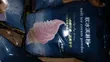 Ice Cream Premix Powder - 2