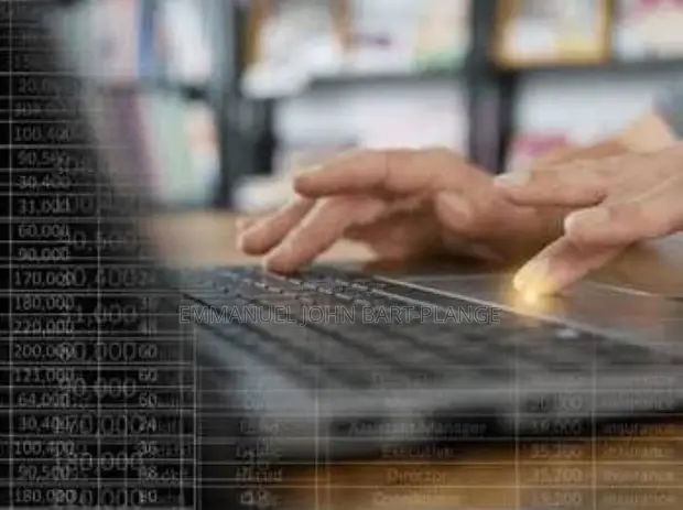 Professional Data Entry Services - Accurate & Reliable - 1