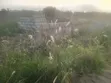 Land for Sale at Kasoa - German City - 4