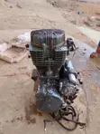 Luojia CG150 Motorcycle (2022) - Green - 5