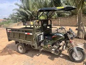 Apsonic AP150ZH-Q7 2025 Green Three-Wheeler