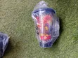 WADFOW Digital Blender - 10 Speed & Pulse - 1