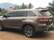 Toyota Highlander XLE 2019 Gold - 2