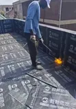 (1x10m) Torch-on SBS Bitumen Waterproofing Membrane (3mm Heavy-Duty) - 4