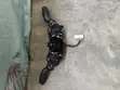 Toyota Tundra/Tacoma Wiper and Trafficator Switch (2022-2025) - 5