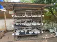 Poultry and Rabbit Cage - 2
