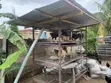 Poultry and Rabbit Cage - 3