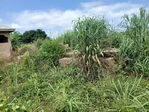 Residential Land with Footing and Blocks, Kintampo North