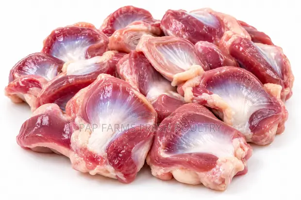Freshly Processed Chicken Gizzards - 1
