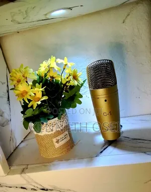 Behringer C-1 Studio Condenser Microphone