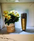 Behringer C-1 Studio Condenser Microphone - 2