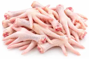 Freshly Processed Chicken Feet