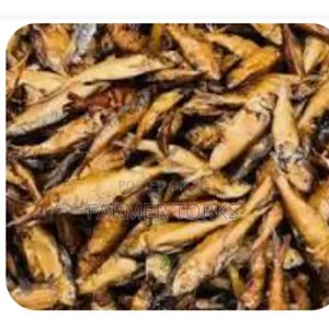 Smoked Herrings (Amane)