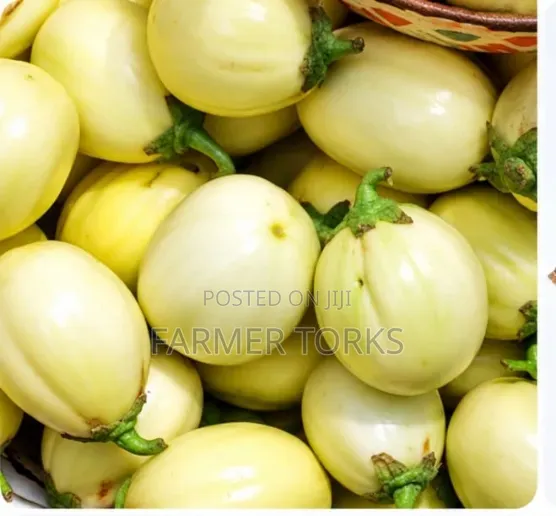 Fresh Garden Eggs - 1