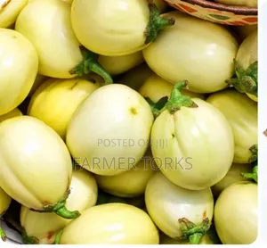 Fresh Garden Eggs