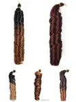 24-Inch Spiral Curls Hair Extensions - 2