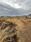 Genuine Plot of Land for Sale Near Roadside, Sasaabi - 4