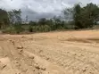 4 Plots of Land by Winneba-Cape Coast Highway - 1