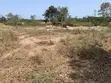 4 Plots of Land by Winneba-Cape Coast Highway - 2