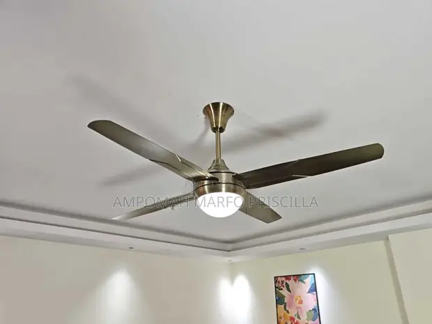 Metallic Art Ceiling Fan with Light & Remote - 1