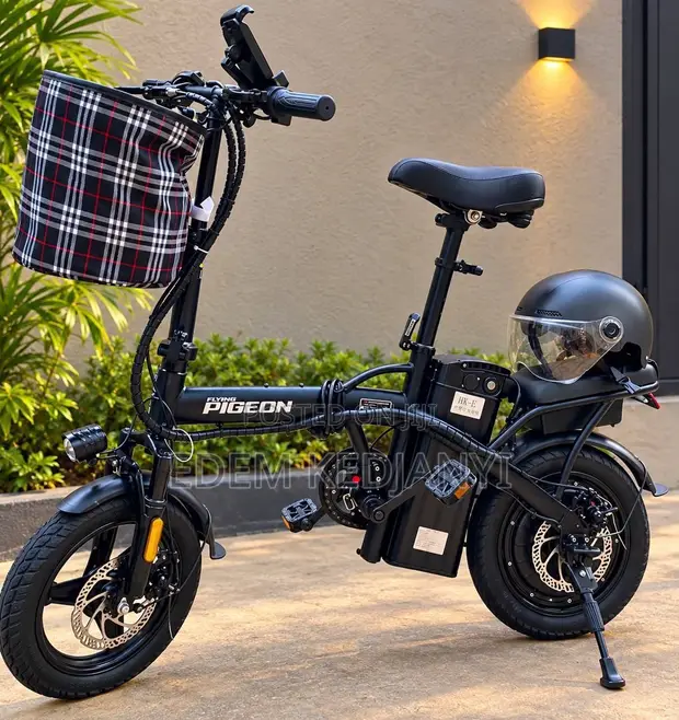 New Flying Pigeon 2024 Electric Smart-Bike - 1