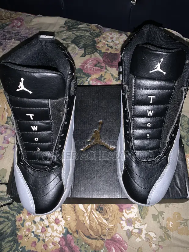 Air Jordan 12 'Black and Ash' - 1