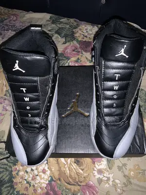 Air Jordan 12 'Black and Ash'