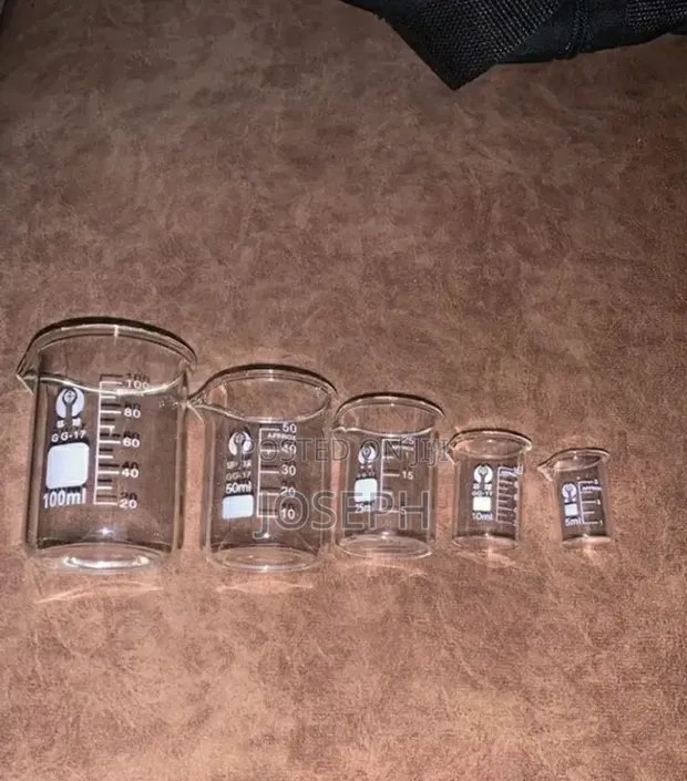 Glass Beaker Set (5pcs) - 1