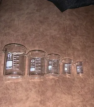 Glass Beaker Set (5pcs)