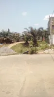 Registered 4 Plots of Land on Main Road, Amasaman Cocobord - 3
