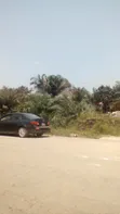 Registered 4 Plots of Land on Main Road, Amasaman Cocobord - 4