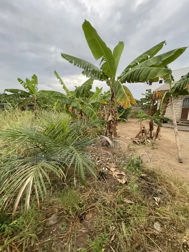 Full Plot of Land for Sale at Lomnava-Oyibi - 1