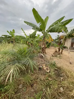 Full Plot of Land for Sale at Lomnava-Oyibi