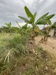 Full Plot of Land for Sale at Lomnava-Oyibi - 1