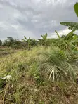 Full Plot of Land for Sale at Lomnava-Oyibi - 3