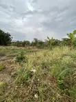 Full Plot of Land for Sale at Lomnava-Oyibi - 4