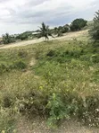 Main Road Land for Sale at Gomoa Ojobi - 2