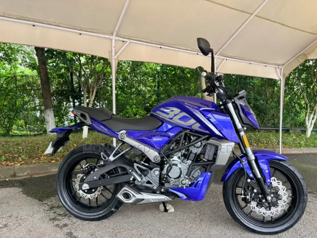 Huojune Jungle 300 Motorcycle - 2026 Model - 1